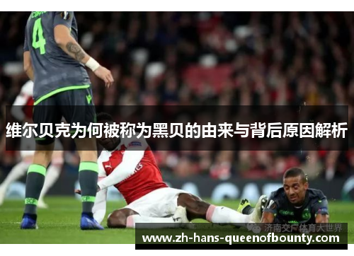 维尔贝克为何被称为黑贝的由来与背后原因解析
